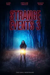 Странные дела 3